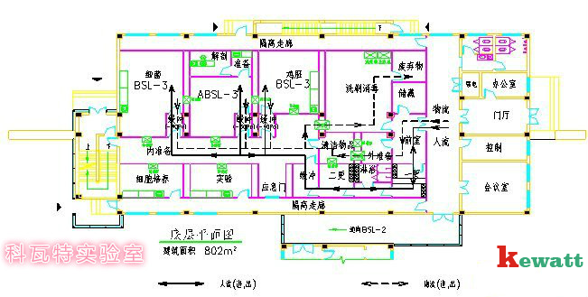 P3生物安全實驗室設計圖