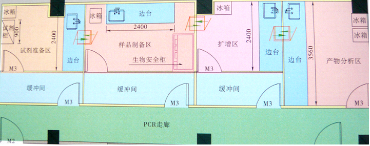  PCR基因擴增實驗室平面圖