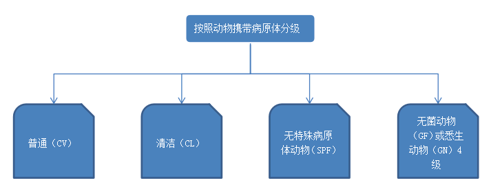 按動(dòng)物攜帶病原體分級(jí)